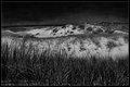 Dune Shack