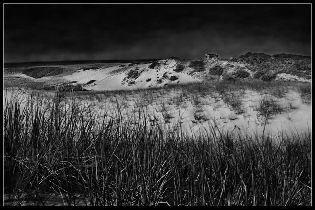 Dune Shack