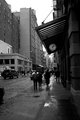 IMG_9562.jpg