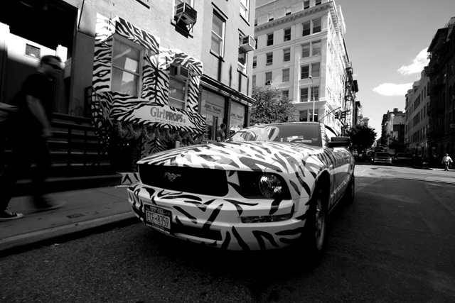 day-14 Mustang
