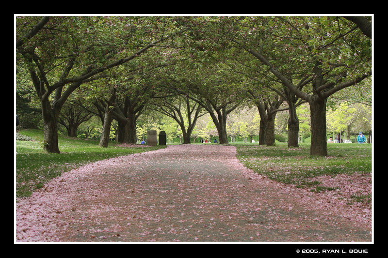 Brooklyn Botanical Gardens