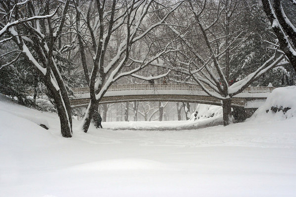 Central Park