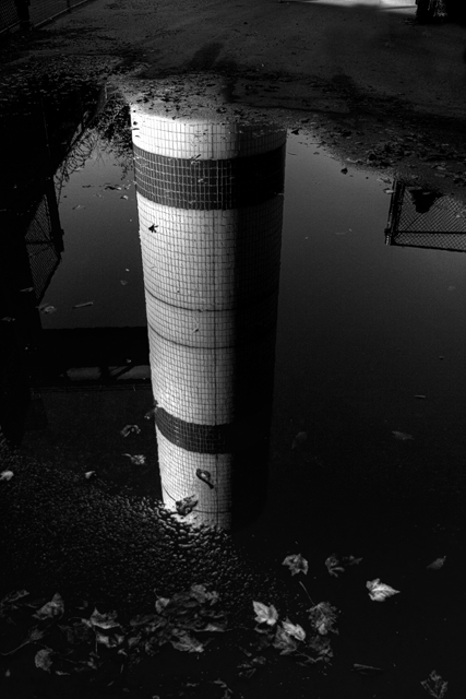 Black n white Reflection.jpg