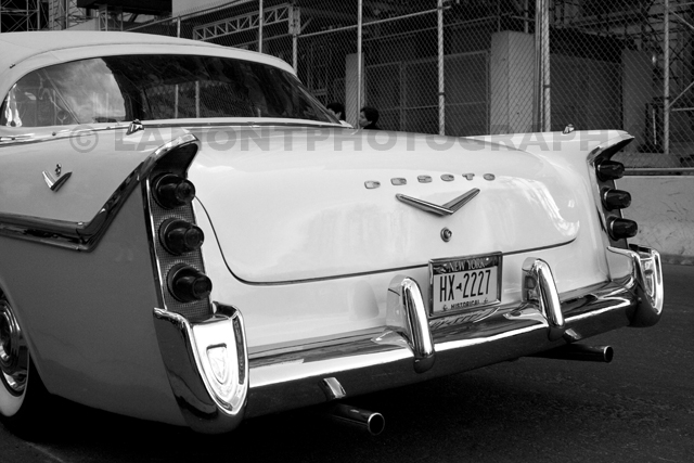 62792046_img_1389gray.jpg