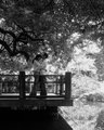 Engagement