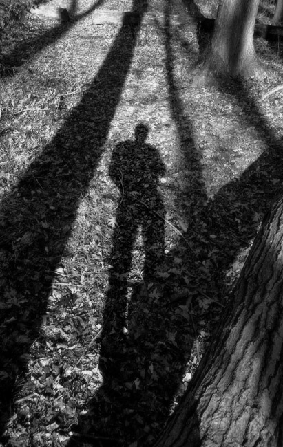 Shadow Portrait