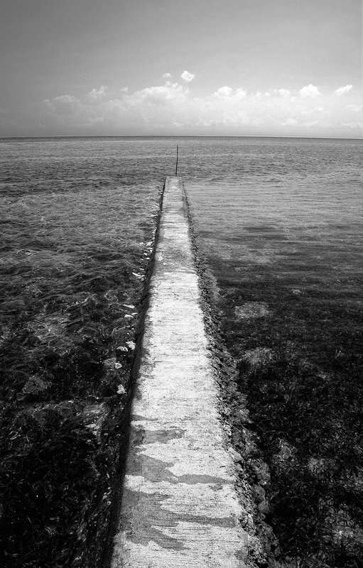 Pathway to Sea