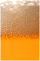 The Amber Nectar