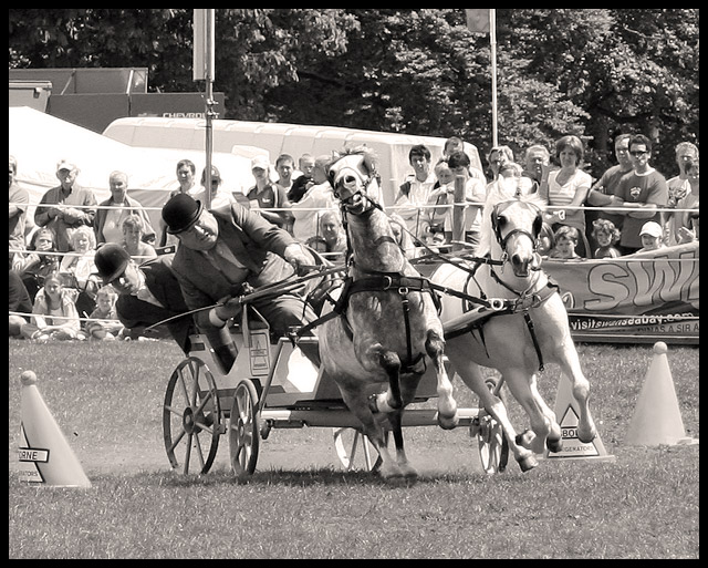 Horses & Trap II