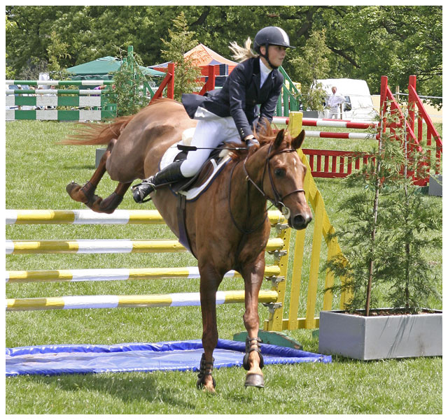 Showjumper II