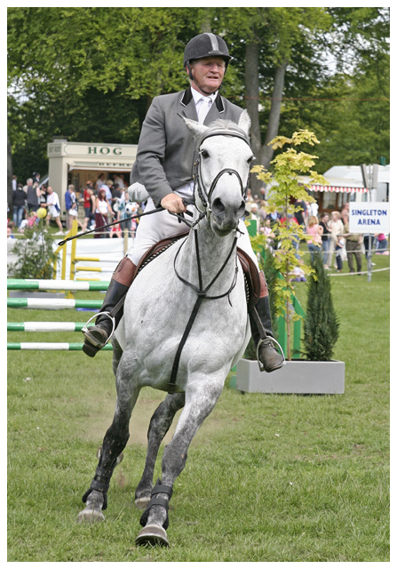 Showjumper VI
