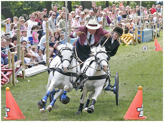Horses & Trap IV