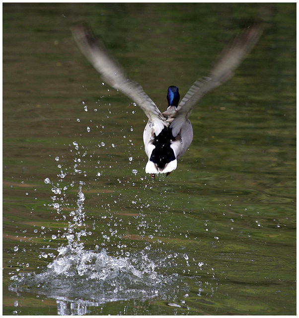 Take-off