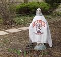 Sister Mary Illini