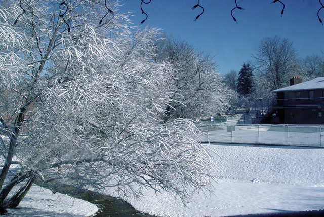 Snow Day
