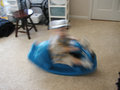 Blur