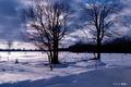 BlueWinter_1977