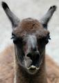 You lookin' at me?