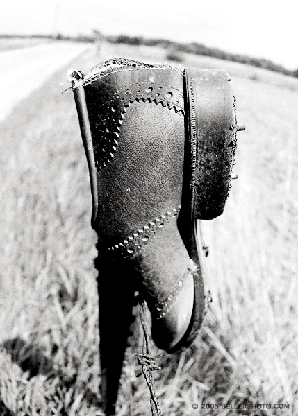 The Shoe 2