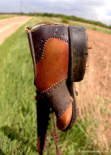 The Shoe 2 (color)