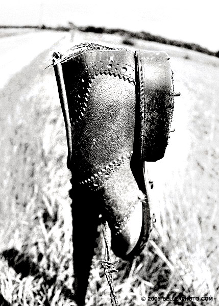 The Shoe 2 (processed)