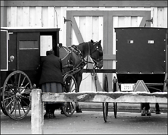 Simplicity B&W Version