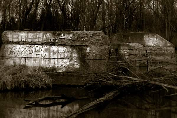 Collamer_columns_25