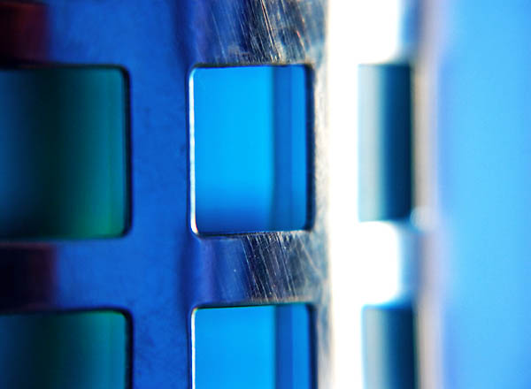 macro_20040128_0001.jpg