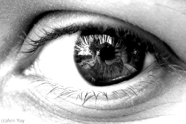 Pupil or Lens? - Reworked