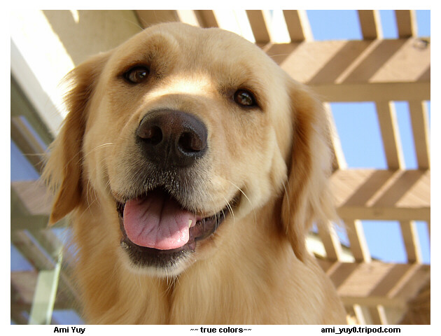 Smiling Girl