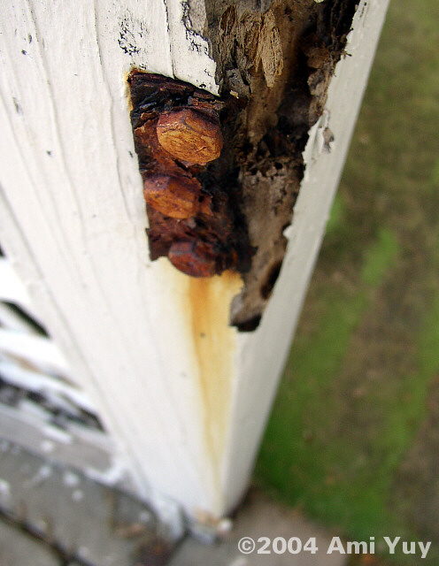Rusted Hinge