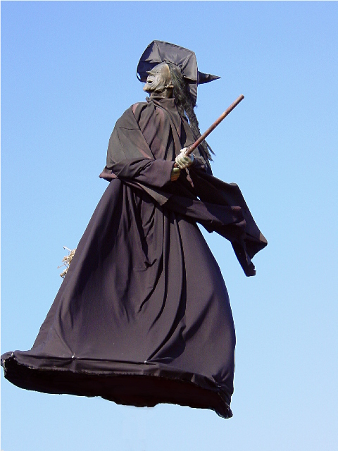 dpc Copy of wicked witch.jpg