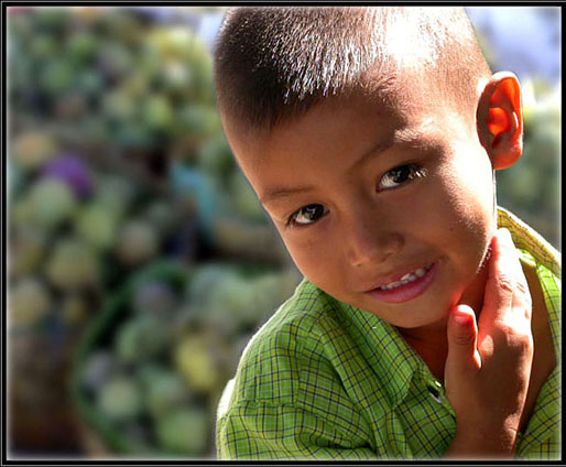 Shyness (Thailand).jpg