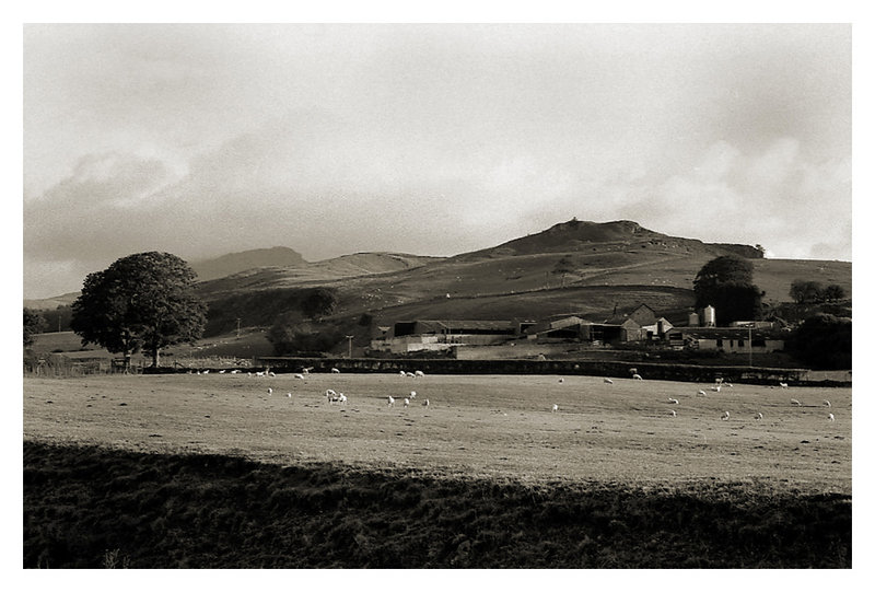 Farm