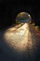 Old Stone Bridge