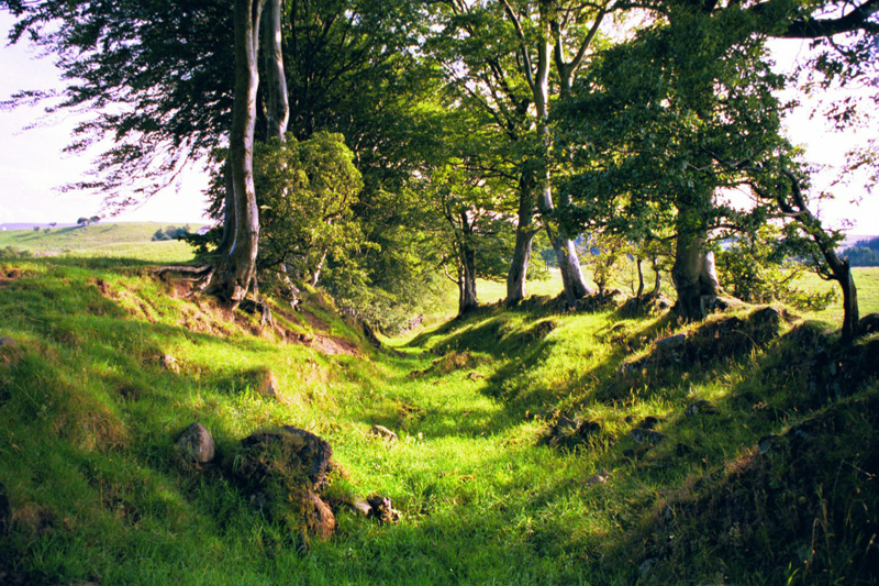Old Path to Hillhead Farm