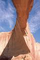 4005 Stevens Arch Up Close and Personal