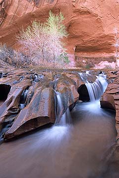 4001 Coyote Gulch Waterfall