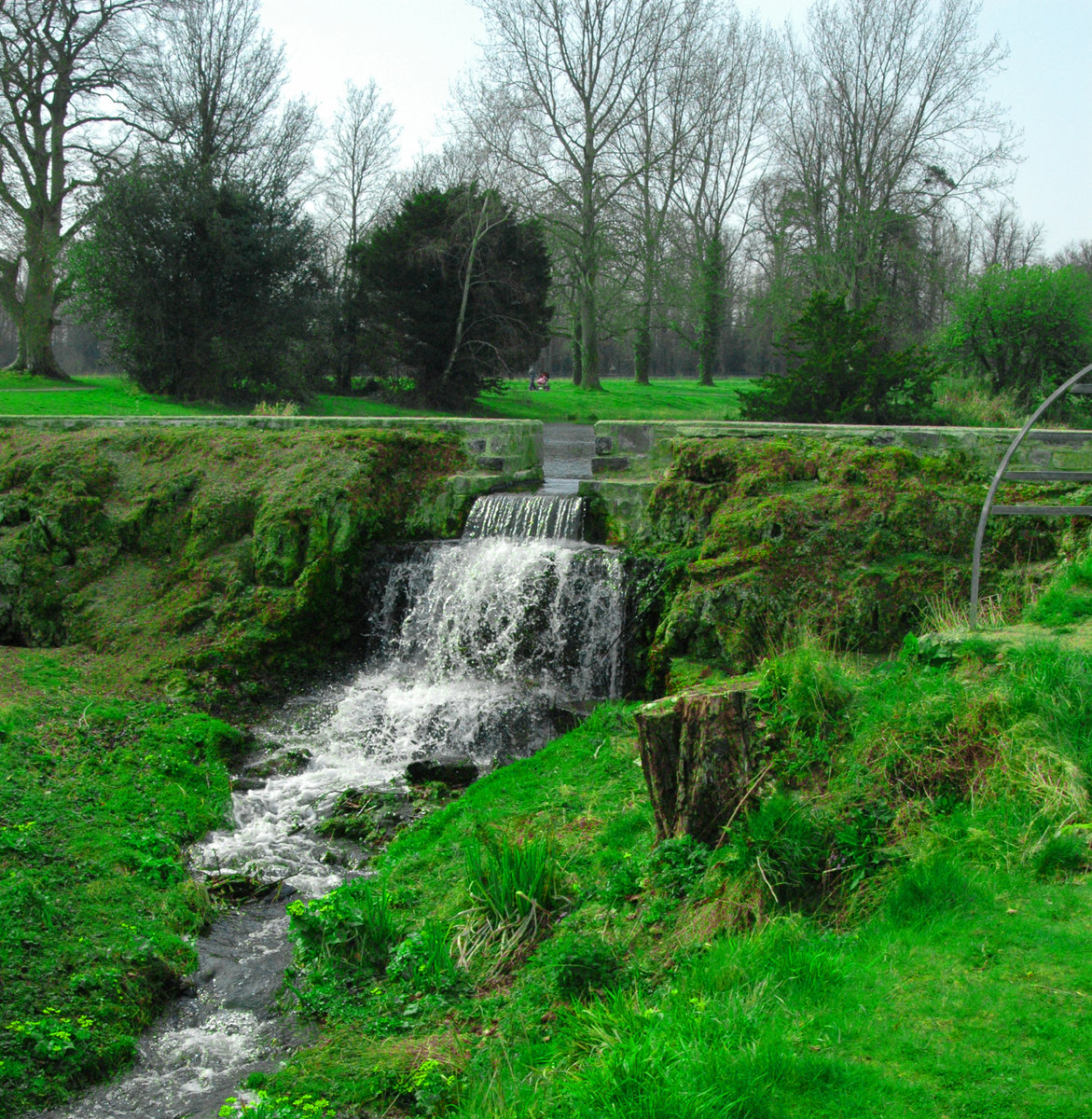 DSC_1530