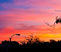 IMG_9835-my-neighborhood-800