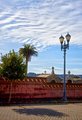 IMG_9139-Colma A-800