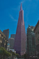 IMG_5945-Transamerica-bldg-800