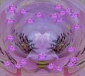 Pink abstract