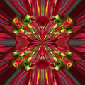 poinsettas-4-merged