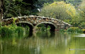 bridge-2_1_1_1WEB.jpg