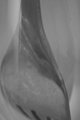 discreetly draped