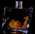 IMG_5817dragon-in-a-bottleWEB.jpg
