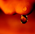Gourd-take-2.jpg