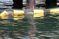 Close up of that oil barrier