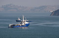 The Cleanup in the North Bay